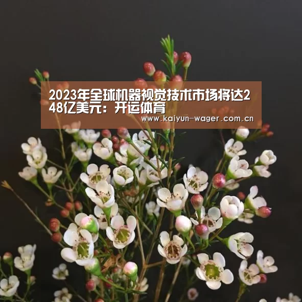 开运体育官网